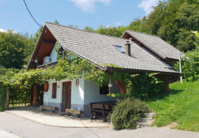 Zidanica Meglič - Vineyard cottage Meglič